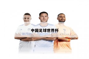 中国足球世界杯
